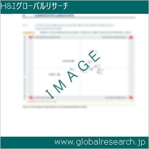 グローバルリサーチ調査レポートのイメージ